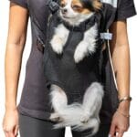 Mr. Pen- Pet Carrier Backpack, Weighing Up to 12 lbs, Adjustable Dog Carrier Backpacks, Dog Backpack Carrier for Small Dogs, Dog Front Carrier