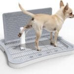 Pee Pad Holder, Indoor Dog Potty for Dogs, Puppy Pad Holder, Puppy Potty Training Tray with Splash Wall & Center Post, 20.1"15.4"