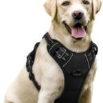 rabbitgoo Dog Harness No Pull with 2 Leash Clips, Adjustable Soft Padded, Reflective Oxford No Choke Pet Vest with Easy Control Handle for Large Dogs, Black, L