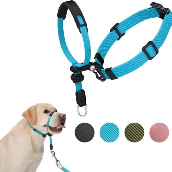 SVD.PET No-Pull Dog Headcollar for Easier Walks, Chew-Proof Protector to Increase Comfort, Simple Design, Easy to Wear and Adjust (Medium Size for Small and Medium Size Dogs)