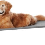 Amazon Basics Cooling Breathable Elevated Dog Bed with Metal Frame for Large Dogs, 51 x 31 x 8 Inch, Grey