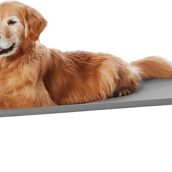Amazon Basics Cooling Breathable Elevated Dog Bed with Metal Frame for Large Dogs, 51 x 31 x 8 Inch, Grey