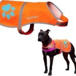 Reflective Dog Vest. Hi-Visibility, Fluorescent Blaze Orange Dog Vest Helps Protect Your Best Friend. Safeguard Your PUP from Motorists & Hunting Accidents, On or Off Leash (Medium)