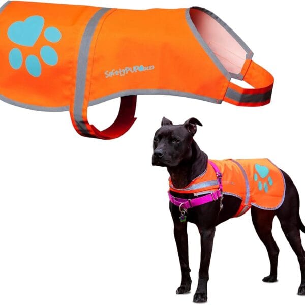 Reflective Dog Vest. Hi-Visibility, Fluorescent Blaze Orange Dog Vest Helps Protect Your Best Friend. Safeguard Your PUP from Motorists & Hunting Accidents, On or Off Leash (Medium)