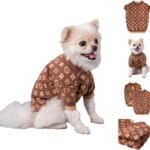 Designer Dog Clothes Sweater Shirt Outfit Small XS Teacup Cute Dogs Puppies French Bulldog Dachshund Chihuahua Cats Maltese Boy Girl (Medium, Chewypawtton)
