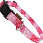 Dog Collar, Cute Floral Pattern, Soft and Adjustable Collar with Quick Release Buckle (XS (Neck 9-13", Width 3/8"), Hawaiian Pink)