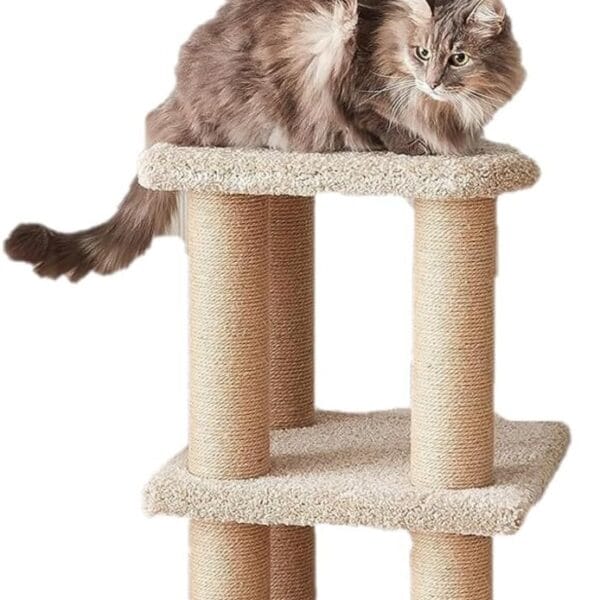 Amazon Basics Cat Tree - Indoor Cat & Kittens Multi-Level Climbing Activity Tower with Scratching Posts, Large (45.9"H) - Beige