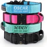 Personalized Tactical Dog Collar with Name and Phone Number, Heavy Duty Nylon Military Dog Collar with Handle and Strong Metal Buckle for Medium and Large Dogs