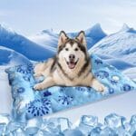 Cooling Mat for Dogs - 2025 Upgrade 35.4"x23.6" Pet Cool Mats for Dogs/Cats, Washable Non-Slip Cooling Pet Mat for Summer, Portable Ice Mat for Dogs/Cats