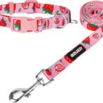 azuza Dog Collar and Leash Set Strawberry Pattern on Pink Nylon Collar, Matching 6ft Leash for Small Dogs