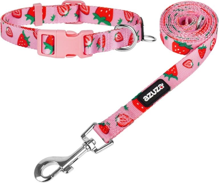 azuza Dog Collar and Leash Set Strawberry Pattern on Pink Nylon Collar, Matching 6ft Leash for Small Dogs