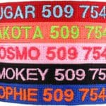 GoTags Personalized Cat Collars with Breakaway Safety Release Buckle, Custom Embroidered Cat Collar with Pet Name and Phone Number, Adjustable Nylon ID Collar with Bell for Cat or Kitten (Pack of 1)