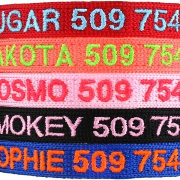GoTags Personalized Cat Collars with Breakaway Safety Release Buckle, Custom Embroidered Cat Collar with Pet Name and Phone Number, Adjustable Nylon ID Collar with Bell for Cat or Kitten (Pack of 1)