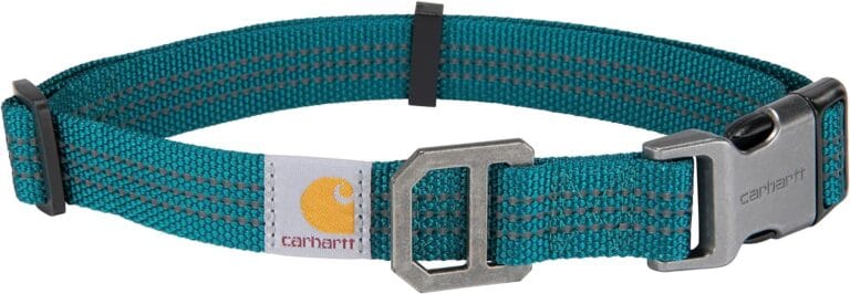 Carhartt Fully Adjustable Nylon Webbing Collars for Dogs, Reflective Stitching for Visibility, Shaded Spruce (Nylon Webbing), Large