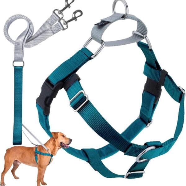 2 Hounds Design Freedom No Pull Dog Harness, Adjustable Harness and Leash Set, Easy Walking & Comfortable Control, Fits Small, Medium & Large Dogs, Solid Colors, Made in USA, 1" LG, Teal