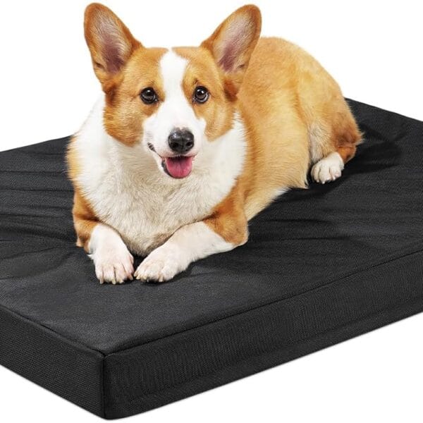 Outdoor Indestructible Dog Bed - Orthopedic Memory Foam Dog Bed with Waterproof & Non-Slip Bottom, XL Crate Bed for Medium & Large Dogs, 41"27"3.5" Black