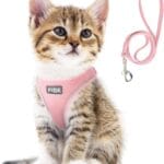 Fida Cat Harness and Leash Set for Walking Kitten and Puppy, Escape Proof Kitten Harness with Breathable Lightweight Soft Mesh, Adjustable Reflective Step-in Design. (XXXS, Pink)