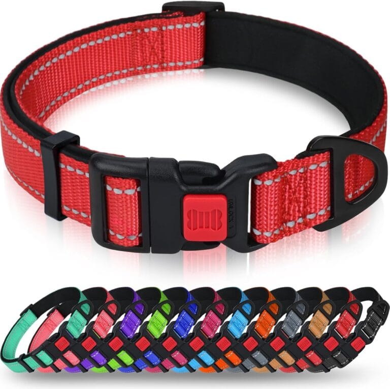Taglory Reflective Dog Collar with Safety Locking Buckle, Adjustable Nylon Pet Collars for Large Dogs Female Male, Red, L
