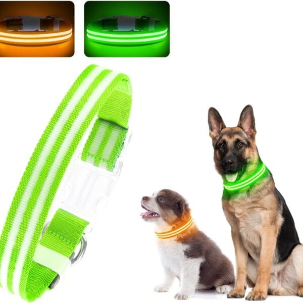 LED Dog Collar, Light Up Dog Collar, Lighted Dog Collars Adjustable for Night Walking, Glow in The Dark Dog Collars Light with USB Rechargeable Color Changing Waterproof for Dogs (Green, Large)