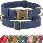 Didog Soft PU Leather Dog Collar, Stylish Quick Released Dog Collars for Small Dogs, Easy Clean Adjustable Pet Collar for Daily Walking, Blue, S Fit 10-16" Neck