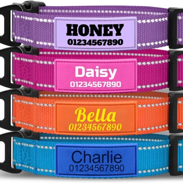 TagME Personalized Dog Collar with Name, Reflective Custom Collar with Soft Silicone ID Tag, 4 Adjustable Sizes for Small to Large Dogs, Durable Nylon and Steel D-Ring