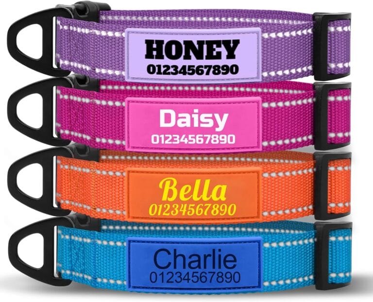 TagME Personalized Dog Collar with Name, Reflective Custom Collar with Soft Silicone ID Tag, 4 Adjustable Sizes for Small to Large Dogs, Durable Nylon and Steel D-Ring