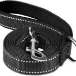 Dog Leash 6 FT, Double Sided Reflective Dog Leash with Soft Padded Handle, Durable Metal Snap Hook Nylon Heavy Duty Leashes for Small Medium and Large Dogs, 1 Inch Wide, Black