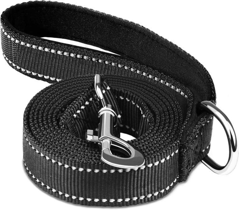 Dog Leash 6 FT, Double Sided Reflective Dog Leash with Soft Padded Handle, Durable Metal Snap Hook Nylon Heavy Duty Leashes for Small Medium and Large Dogs, 1 Inch Wide, Black
