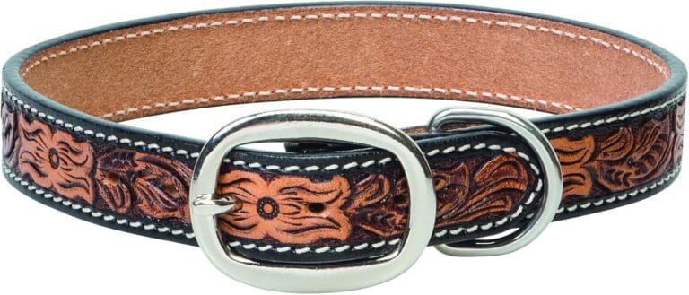Weaver Leather Pet Floral Tooled Dog Collar, Natural, 1" x 19"
