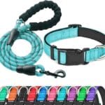 Reflective Dog Collar Padded with Soft Neoprene Breathable Adjustable Nylon Dog Collars for Small Medium Large Dogs (Medium (Pack of 1), Blue Collar+Leash)