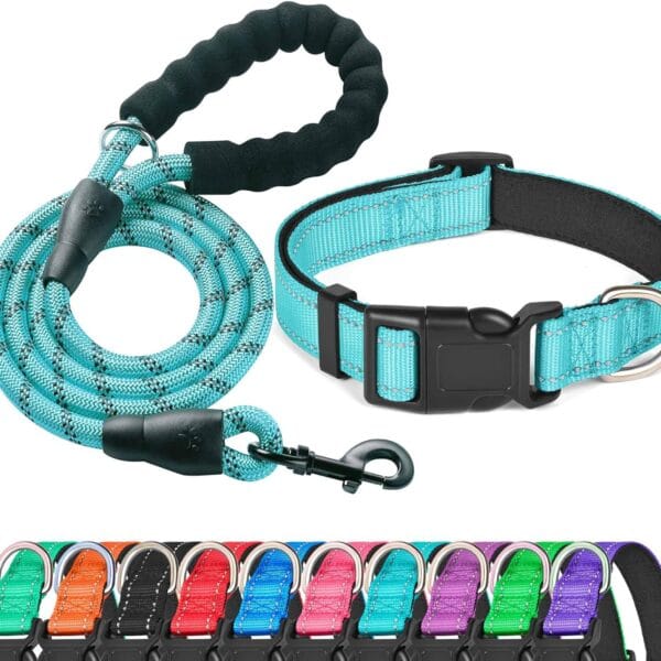 Reflective Dog Collar Padded with Soft Neoprene Breathable Adjustable Nylon Dog Collars for Small Medium Large Dogs (Medium (Pack of 1), Blue Collar+Leash)