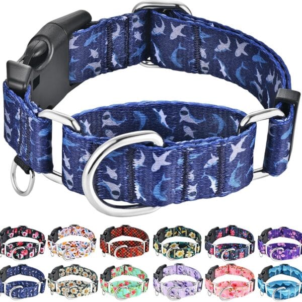 Martingale Collar for Dogs with Buckle Heavy Duty Boy Dog Collar for Medium Dogs, Deep Blue Shark
