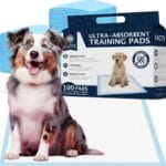 Dr. Pol Pet Eye Wipes for Dogs & Cats  Tear Stain Remover & Eye Discharge Cleaner  Hypoallergenic Grooming Wipes, 100 Count  Lightly Scented