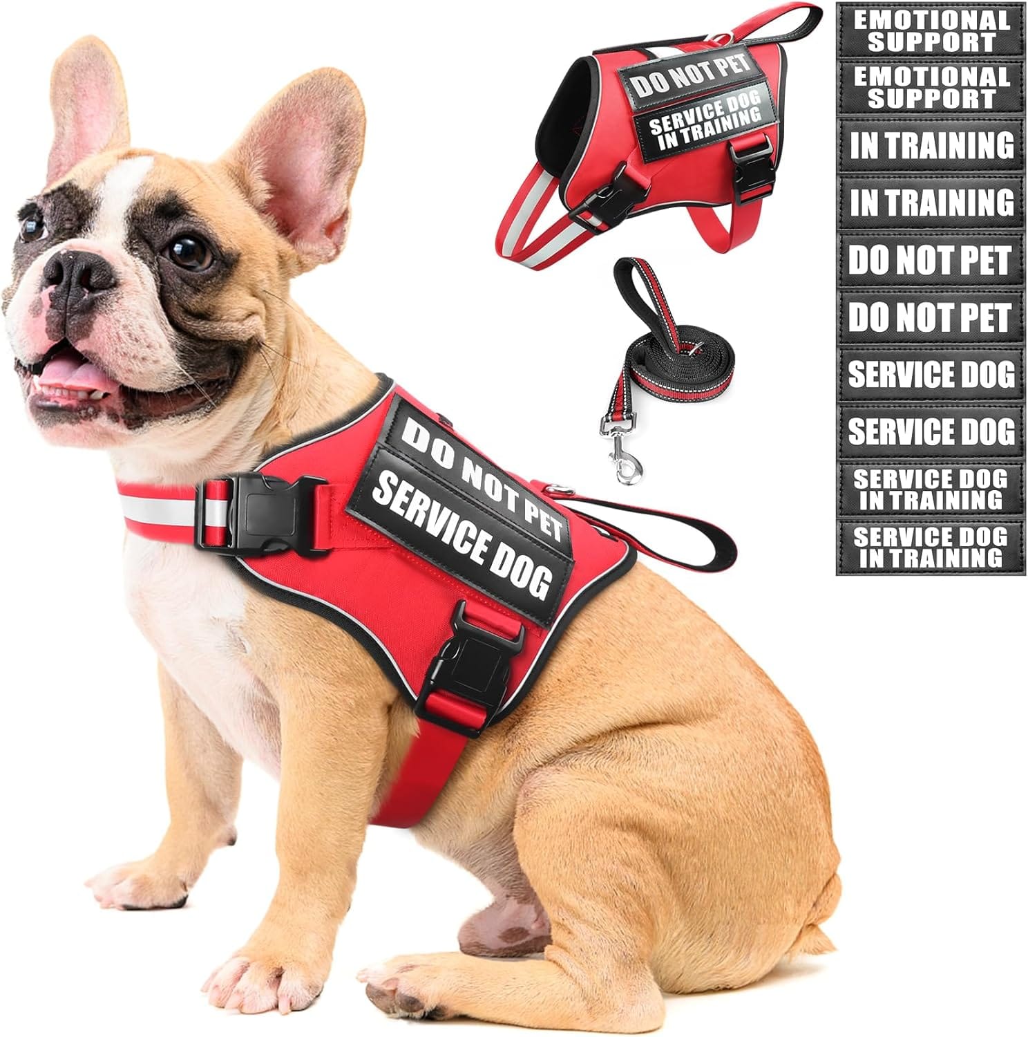 Service Dog Vest Harness And Leash Set+10 Patches,No Pull&Adjustable Reflective Dog Harness With Soft Padded Handle For Training/Everyday,Fit Small/Medium/Large/Extra Large Dogs(Red M) Service Dog Vest Harness and Leash Set+10 Patches,No Pull&Adjustable Reflective Dog Harness with Soft Padded Handle for Training/Everyday,Fit Small/Medium/Large/Extra-Large Dogs(Red M)