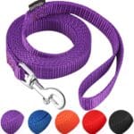 AMAGOOD 6 FT Puppy/Leash, Strong Traditional Style with Easy to Use Collar Hook, Great for Small, Medium and Large Dogs (5/8in x 6 ft, Purple)