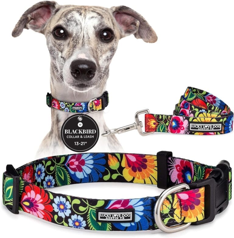Lucky Love Dog - Easy Click Buckle Dog Collar with Leash Set Combo, Durable & Comfortable for Male & Female Dogs, Pet Collar for Small to Large Dogs, Secure Fit - Blackbird Combo, Medium