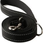 6FT Reflective Dog Leash for Large&Medium and Small Dogs,Nylon Leashes for Walking and Training,6 Foot Leash with D Ring, 6 FT (1 inch X 6FT, Black)