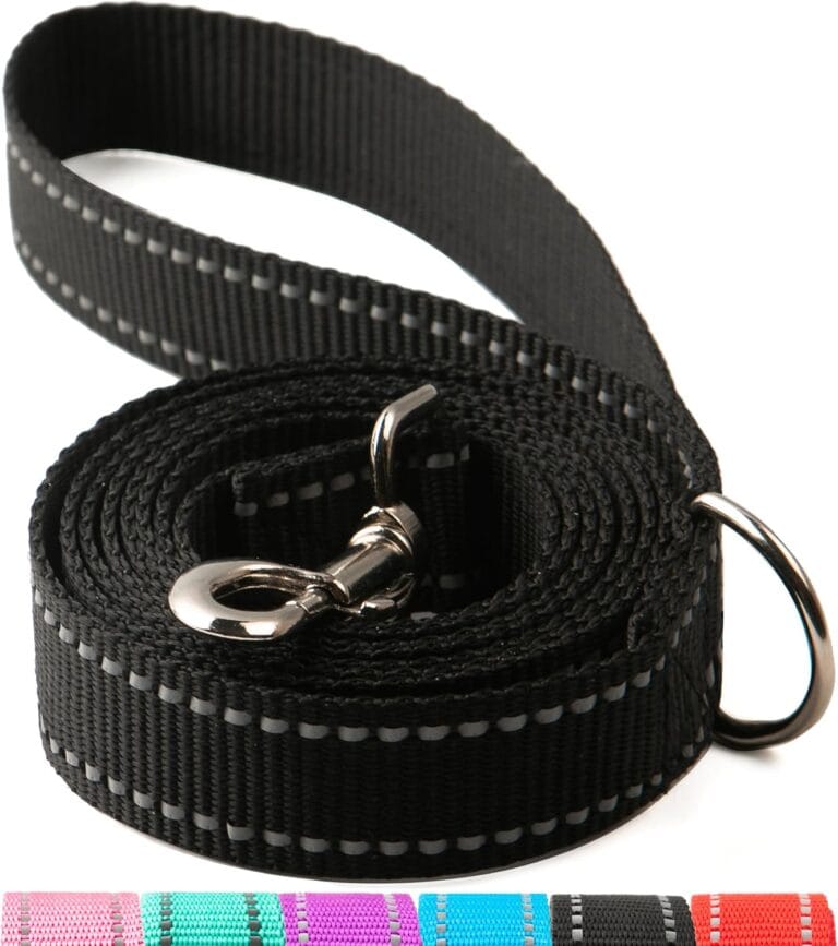 6FT Reflective Dog Leash for Large&Medium and Small Dogs,Nylon Leashes for Walking and Training,6 Foot Leash with D Ring, 6 FT (1 inch X 6FT, Black)