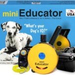 E-Collar - ET-300-1/2 Mile Remote Waterproof Trainer Mini Educator Remote Training Collar - 100 Training Levels Plus Vibration and Sound - Includes PetsTEK Dog Training Clicker