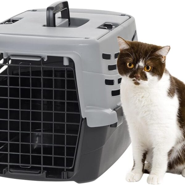 IRIS USA 23-Inch Small Pet Carrier for Cats and Dogs, 18-Pound Capacity, Black/Gray  Hard-Sided Ventilated Plastic Travel Crate with Front & Top Entry, Secure Buckles & Fold-Down Handle