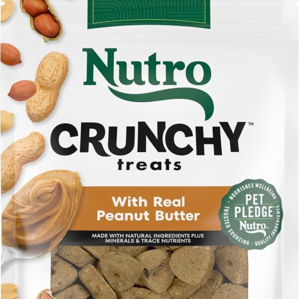 Nutro Crunchy Dog Treats with Real Peanut Butter, 16 oz. Bag