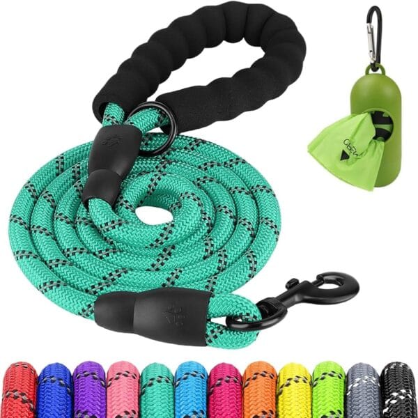 Joytale Reflective Dog Leash, Heavy Duty Nylon Rope with Poop Bag Holder, Highly Reflective Threads Leashes for Medium Large Dogs, Teal, 6'1/2''