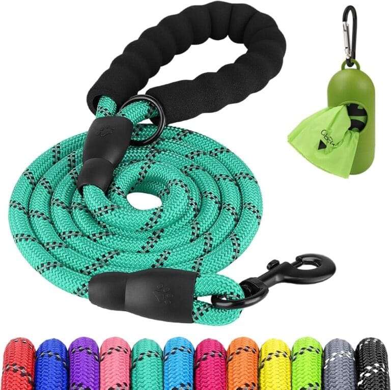 Joytale Reflective Dog Leash, Heavy Duty Nylon Rope with Poop Bag Holder, Highly Reflective Threads Leashes for Medium Large Dogs, Teal, 6'1/2''