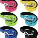 6 Pack 5 ft Nylon Dog Training Leashes Bulk for Medium and Large Dogs Heavy Duty Padded Handle Puppy Leash Traction Rope for Walking, Play, Camping