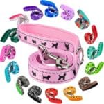 EcoBark Dog Leash - Soft & Reflective Comfort Training Leashes with Padded Handle - Safe, Strong, & for Small, Medium or Large Dogs (Baby Pink)