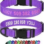 Taglory Personalized Dog Collars, Embroidered Reflective Collar with Name and Phone Number, Adjustable, Nylon Material, for Medium Dogs, Purple