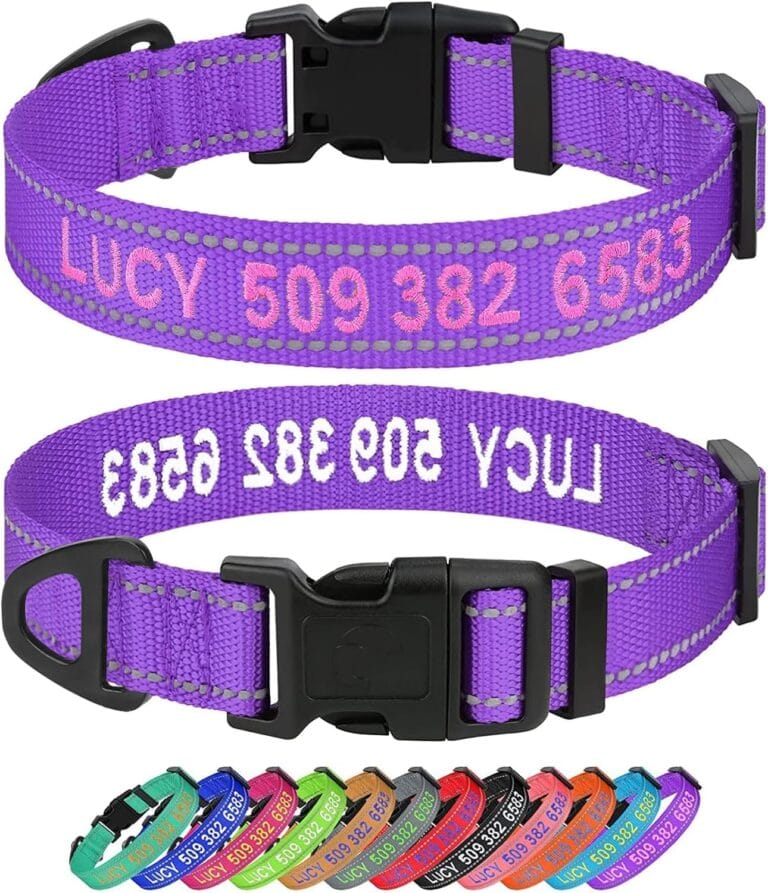 Taglory Personalized Dog Collars, Embroidered Reflective Collar with Name and Phone Number, Adjustable, Nylon Material, for Medium Dogs, Purple