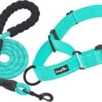 haapaw 2 Packs Martingale Dog Collar with Quick Release Buckle Reflective Dog Training Collars for Small Medium Large Dogs