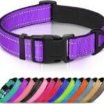 Joytale Reflective Dog Collar,Soft Neoprene Padded Breathable Nylon Pet Collar Adjustable for Large Dogs,Purple,L