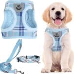 PUPTECK Adjustable Dog Harness Collar and Leash Set Step in No Pull Pet Harness for Small Medium Dogs Puppy and Cats Outdoor Walking Running, Soft Mesh Padded Reflective Vest Harnesses, Blue M